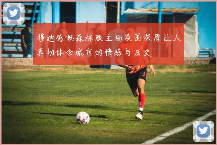 穆迪感慨森林狼主场氛围深厚让人真切体会城市的情感与历史